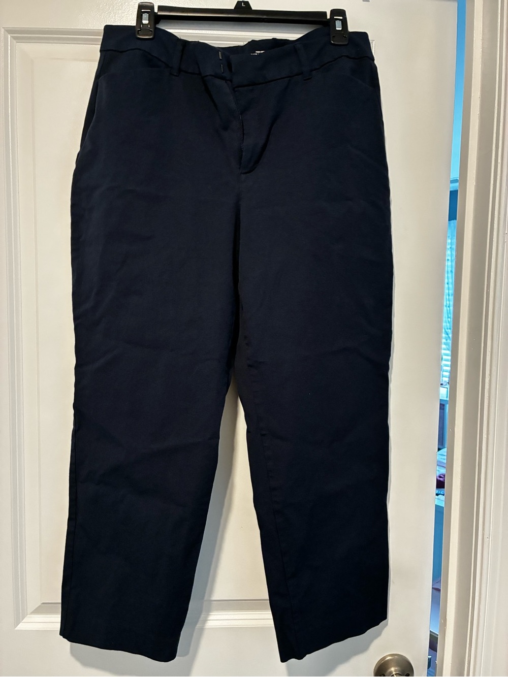 Old Navy Navy Pixie Straight Pants